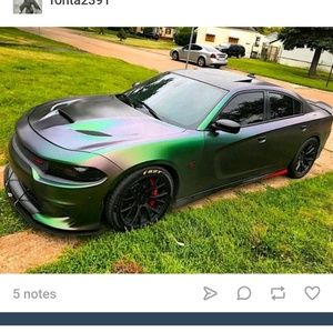 Meet your Posher, William